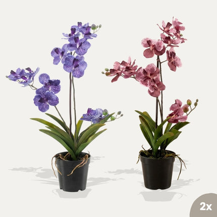 Orchid Vanda mix - 2 pcs - Artificial Plants - Bundle set
