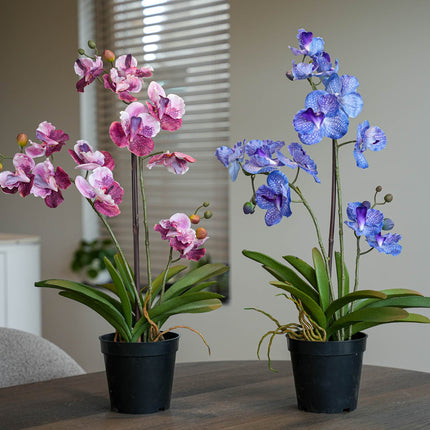 Orchid Vanda mix - 2 pcs - Artificial Plants - Bundle set