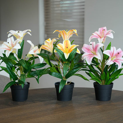 Three potted lillies with white, yellow, and pink flowers on a wooden surface.