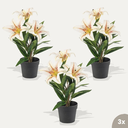 Lily cream 3 pcs - Artificial Plants - Bundle set