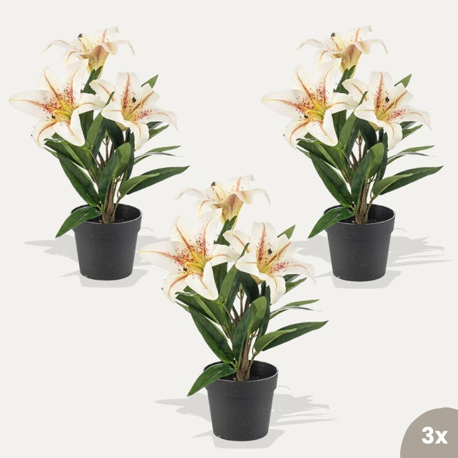 Lily cream 3 pcs - Artificial Plants - Bundle set