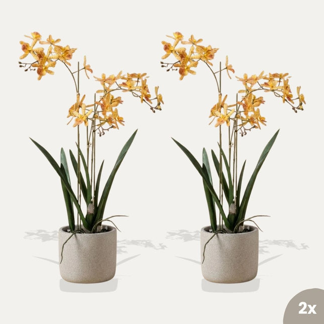 Renantera Orchid yellow/orange 2 pcs - Artificial Plants - Bundle set