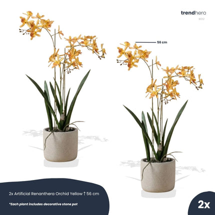 Renantera Orchid yellow/orange 2 pcs - Artificial Plants - Bundle set