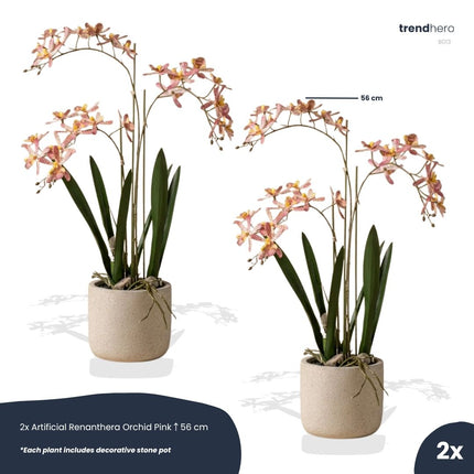 Renantera Orchid pink 2 pcs - Artificial Plants - Bundle set