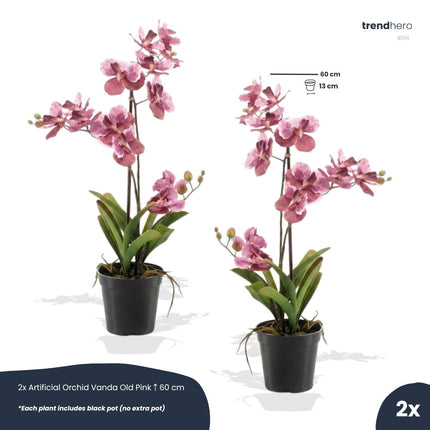 Orchid Vanda pink 2 pcs - Artificial Plants - Bundle set