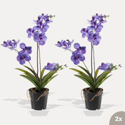 Orchid Vanda purple 2 pcs - Artificial Plants - Bundle set