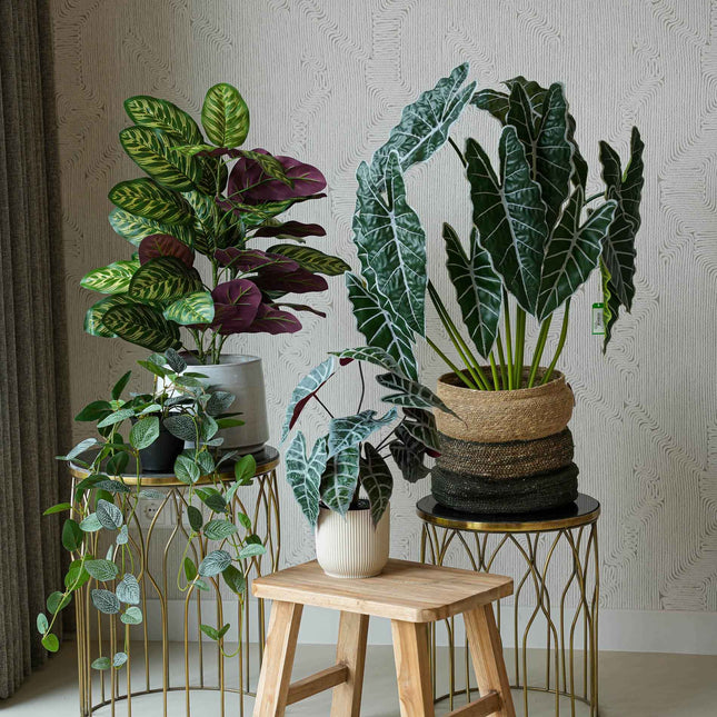 Costa Rica set - 4 pcs - Artificial Plants - Bundle set