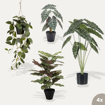 Costa Rica set - 4 pcs - Artificial Plants - Bundle set