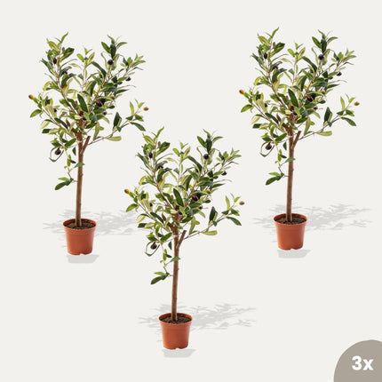 Mini Olive tree set - 3 pcs - Artificial Plants - Bundle set