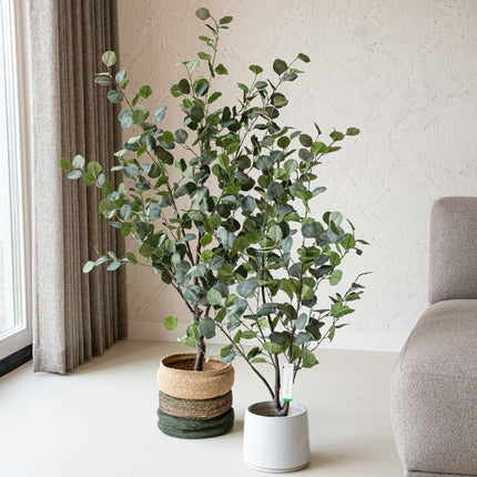 Eucalyptus mix - 2 pcs - Artificial Plants - Bundle set