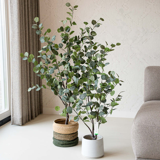 Eucalyptus mix - 2 pcs - Artificial Plants - Bundle set