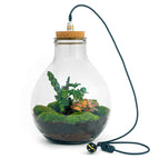 With cord lighting