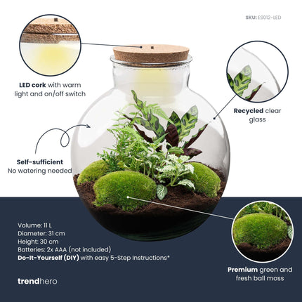 Bolder Bob - Terrarium with light - Bottle garden DIY kit - Ø 31 cm ↑ 30 cm