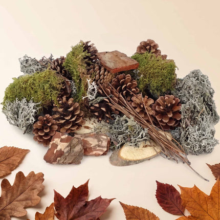 Forest mix - moss, pinecones, wood, bark - 0,75 m2