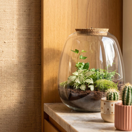 Emma -  Hedera White - Terrarium with light - Bottle garden DIY kit - Ø 23 cm ↑ 25 cm