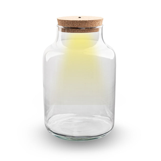 Terrarium bottle 'Milky' with LED-lighting - Closed terrarium Ø 21 cm ↑ 30 cm
