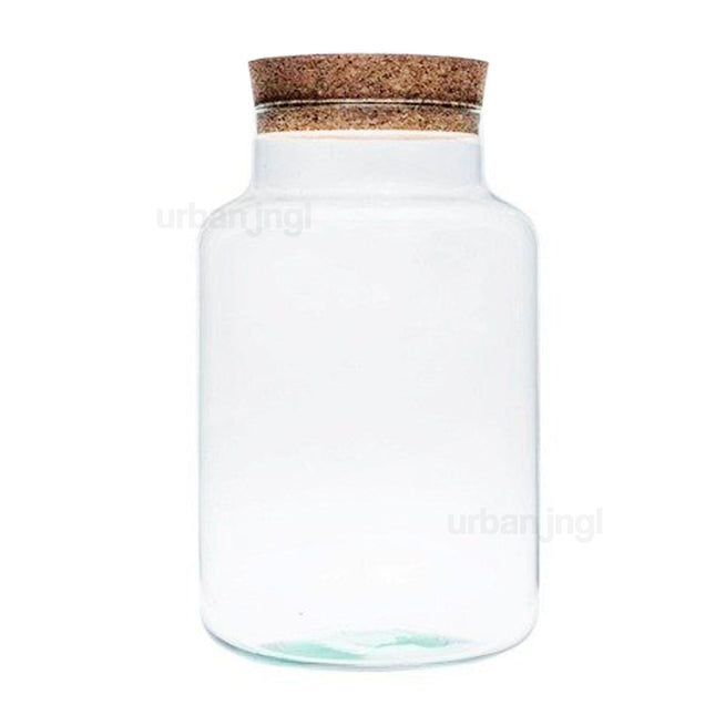 Terrarium with cork - Milky - Closed terrarium ↑30 cm