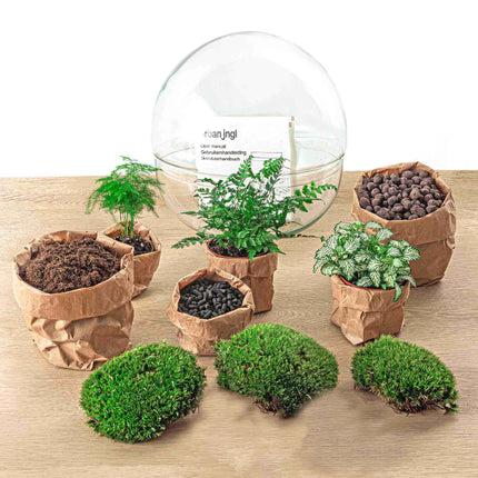 Dome XL - Two-part round glass terrarium - Bottle garden DIY kit - Ø 28 cm ↑ 28 cm