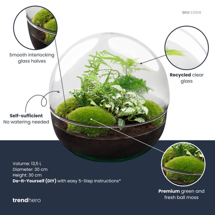 Dome XL - Two-part round glass terrarium - Bottle garden DIY kit - Ø 28 cm ↑ 28 cm