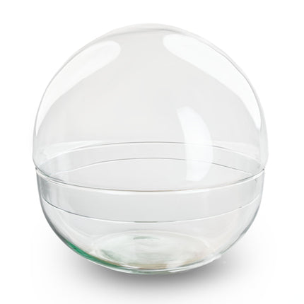 Terrarium bottle ‘Dome XL’ – Two-part round glass – Closed terrarium Ø 28 cm ↑ 28 cm