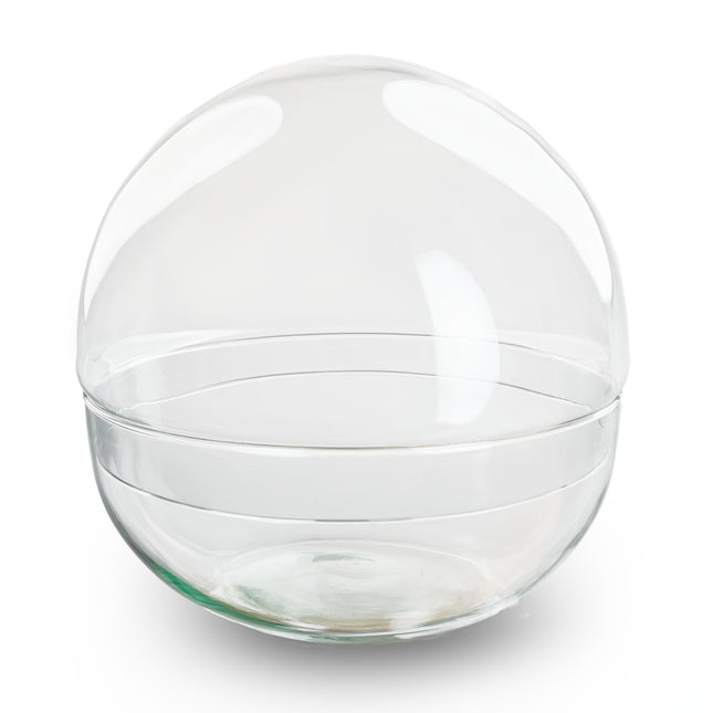 Terrarium bottle ‘Dome XL’ – Two-part round glass – Closed terrarium Ø 28 cm ↑ 28 cm