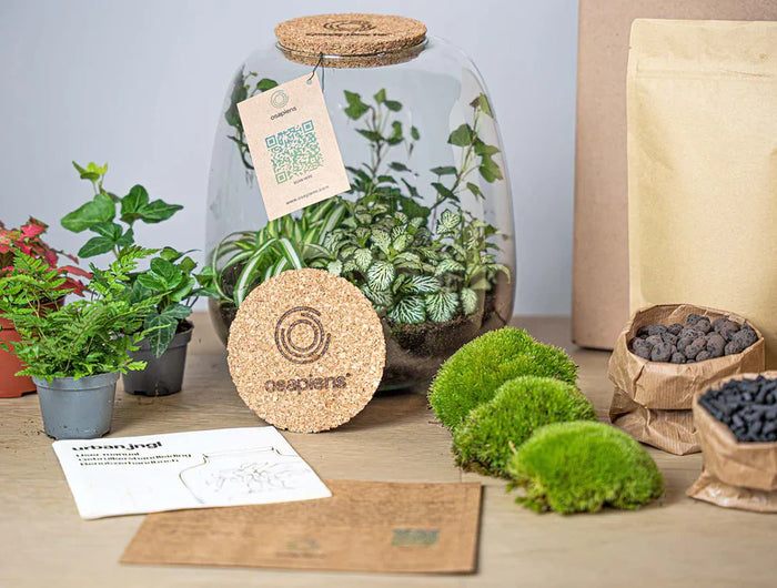 <h2>Een planten terrarium geschenk</h2>