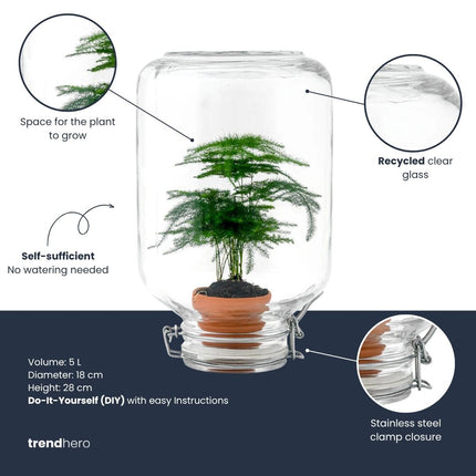 Easyplant Asparagus - Fido terrarium jar - Bottle Garden DIY kit - Ø 18 cm ↑ 28 cm