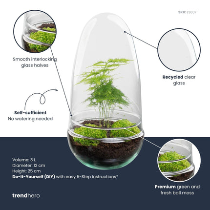 Egg Asparagus - Terrarium - Two-part glass dome - Bottle garden DIY kit - Ø 12 cm ↑ 25 cm