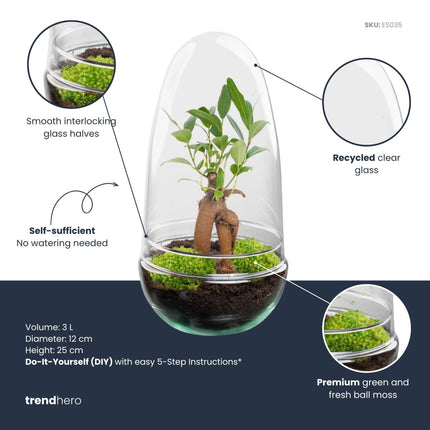 Egg Bonsai - Terrarium - Two-part glass dome - Bottle garden DIY kit - Ø 12 cm ↑ 25 cm