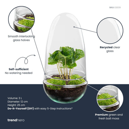 Egg Coffea - Terrarium - Two-part glass dome - Bottle garden DIY kit - Ø 12 cm ↑ 25 cm