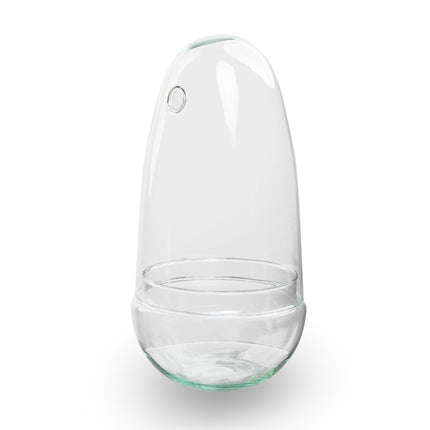 Egg - Glass bulb - Bell jar - Terrarium ↑ 25.5 cm - Model: Egg