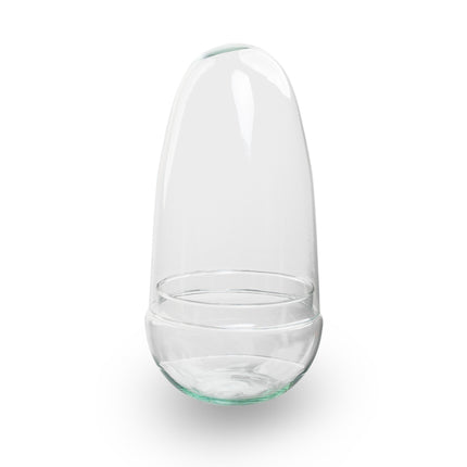 Egg Asparagus - Terrarium - Two-part glass dome - Bottle garden DIY kit - Ø 12 cm ↑ 25 cm