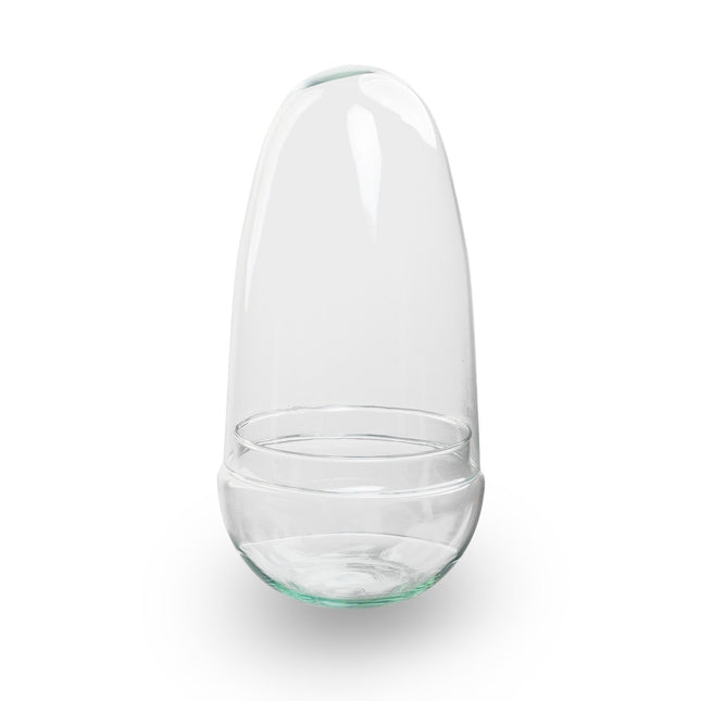 Terrarium bottle ‘Egg’ – Two-part glass dome – Closed terrarium Ø 12 cm ↑ 25 cm