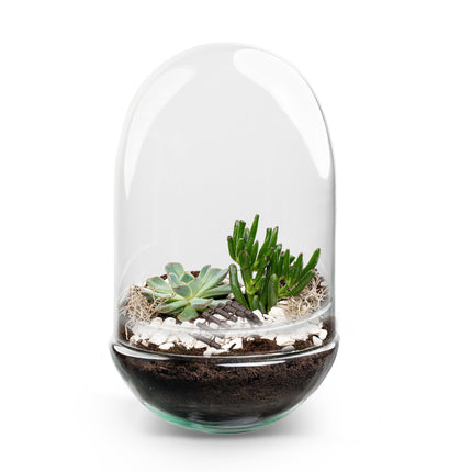 Egg XL Succulent - Open terrarium - Bottle garden DIY kit - Ø 17,5 cm ↑ 30 cm