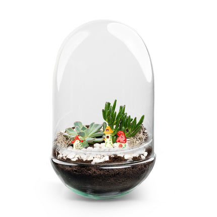 Egg XL Succulent - Open terrarium - Bottle garden DIY kit - Ø 17,5 cm ↑ 30 cm