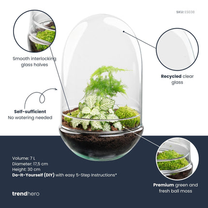 Egg XL - Terrarium - Two-part glass dome - Bottle garden DIY kit - Ø 17.5 cm ↑ 30 cm