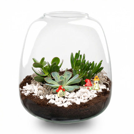 Emma Succulent - Open terrarium - Bottle garden DIY kit - Ø 23 cm ↑ 25 cm