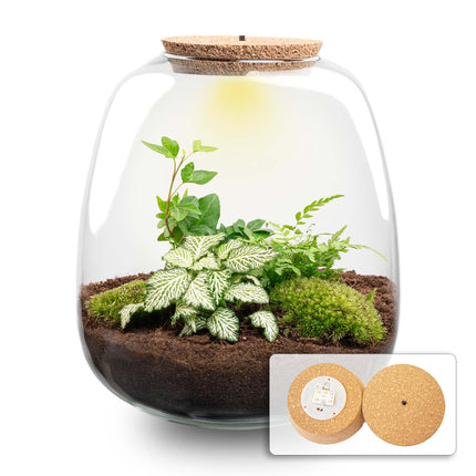 Emma -  Hedera White - Terrarium with light - Bottle garden DIY kit - Ø 23 cm ↑ 25 cm
