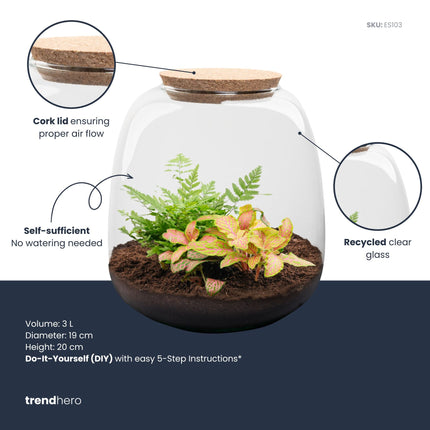 Emma Mini - Fittonia Ruby Lime + Fern - Terrarium with cork - Bottle garden DIY kit - Ø 19 cm ↑ 20 cm