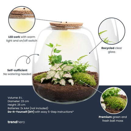 Emma - Terrarium with light - Bottle garden DIY kit - Ø 23 cm ↑ 25 cm