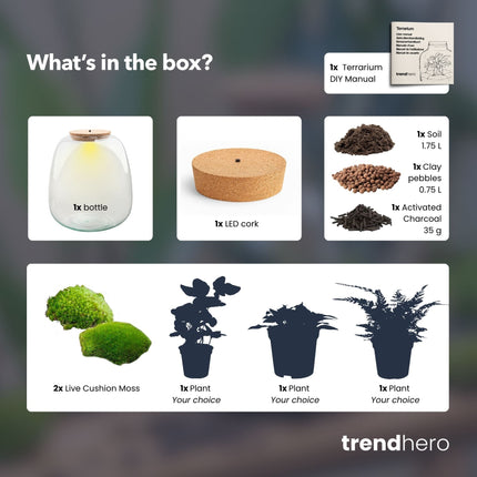 DIY terrarium kit - komplette flaschengarten set