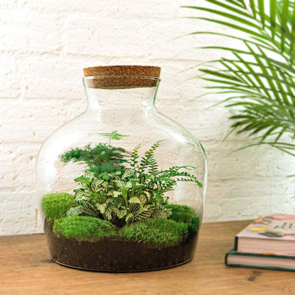 Fat Joe Green - Terrarium with light - Bottle garden DIY kit - Ø 29 cm ↑ 30 cm