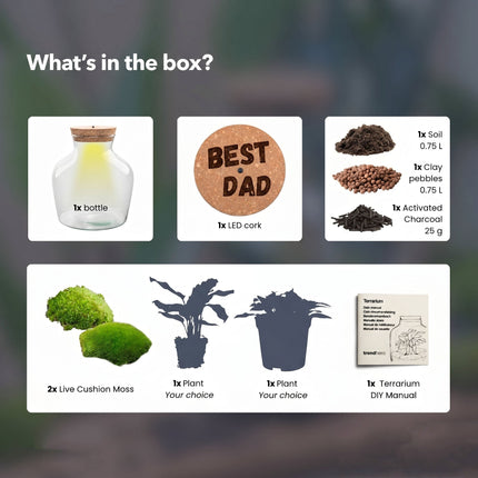 Father's Day terrarium Little Joe + Custom engraved cork with light - Bottle garden DIY kit - Ø 20 cm ↑ 22 cm