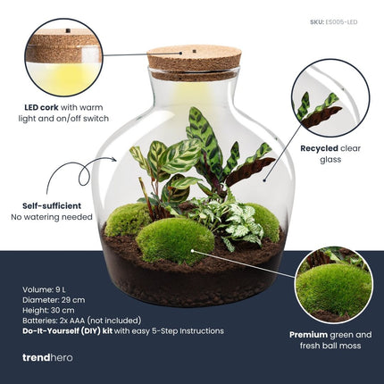 Fat Joe - Terrarium with light - Bottle garden DIY kit - Ø 29 cm ↑ 30 cm