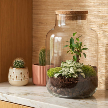 A clear glass terrarium jar with a cork lid sits on a marble countertop, containing small green plants and succulents in soil. Two small potted cacti are blurred in the background against a wood and woven wall.