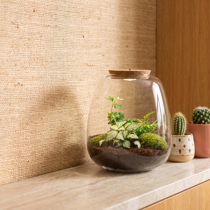 Emma -  Hedera White - Terrarium with light - Bottle garden DIY kit - Ø 23 cm ↑ 25 cm