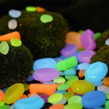 Glow Stones Medium - 12 pcs - Glow in the dark - Terrarium decoration - Aquarium decoration - Multicolor - 3-5 cm