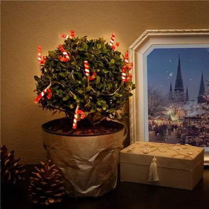 String Light "Candy Canes" with 10 LEDs