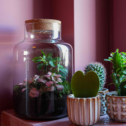 'LOVE MOM' terrarium Little Milky + Engraved cork with light - Bottle garden DIY kit - Ø 17 cm ↑ 25 cm