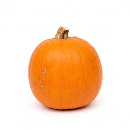Halloween pumpkin - Orange - Real - Ø approx. 16 cm - approx. 1,4 kg